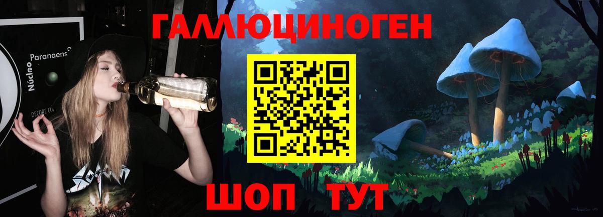 Псилоцибиновые грибы Cubensis Пыть-Ях